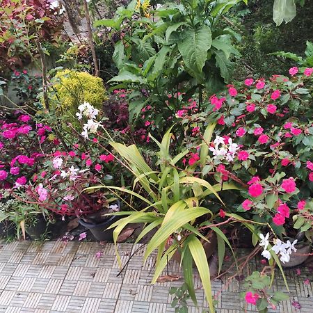 Soly'S Villa Homestay Munnar Esterno foto