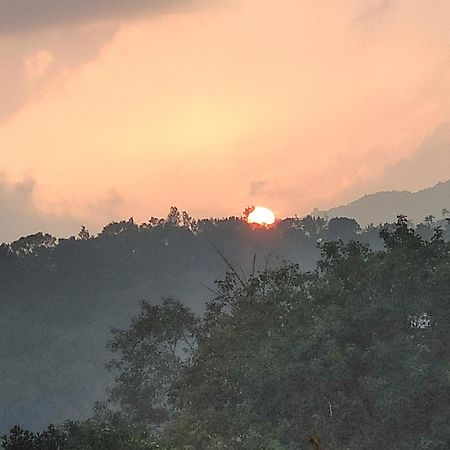 Soly'S Villa Homestay Munnar Esterno foto