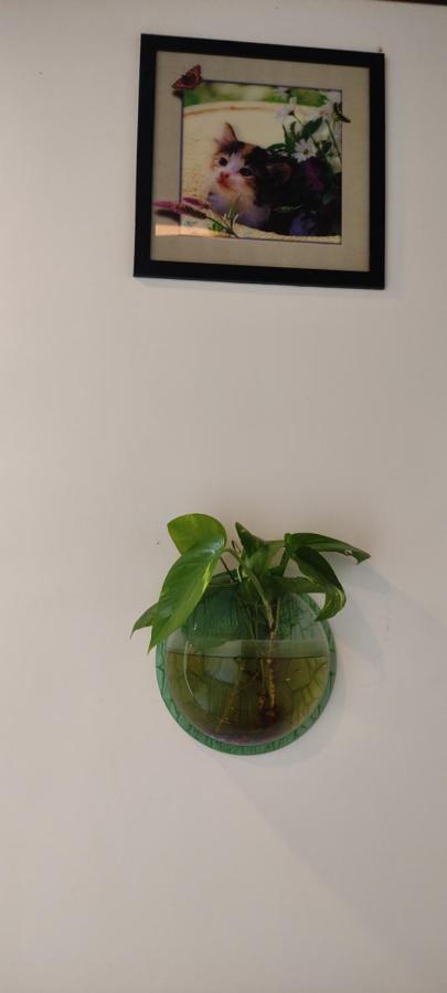 Soly'S Villa Homestay Munnar Esterno foto