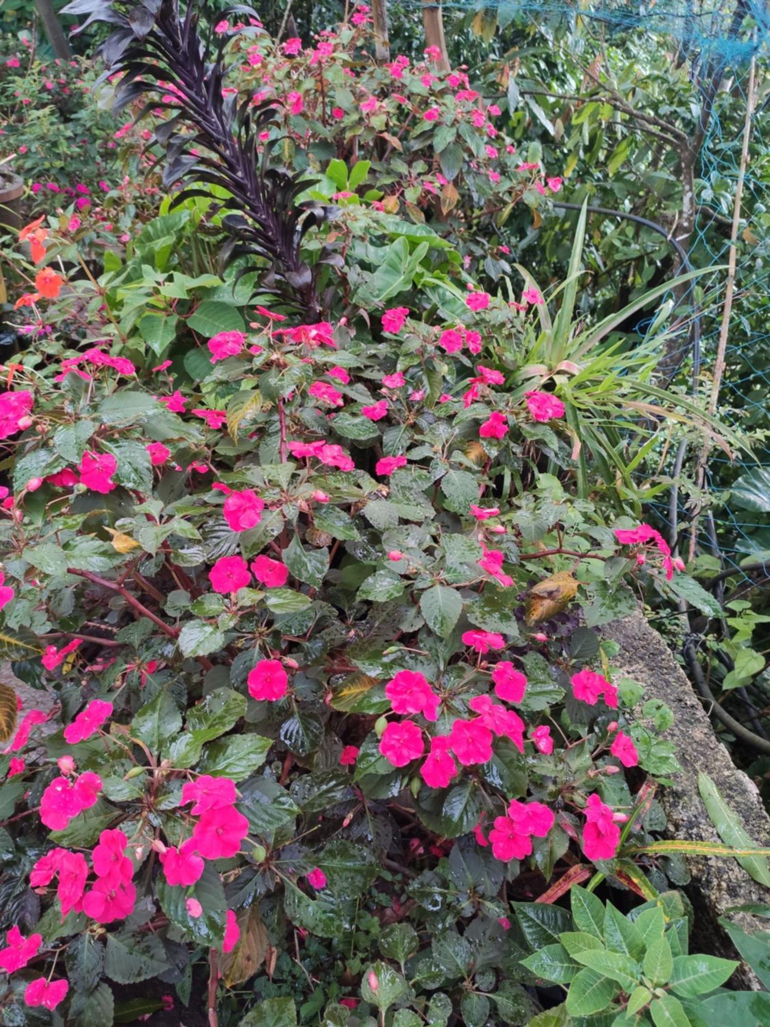 Soly'S Villa Homestay Munnar Camera foto