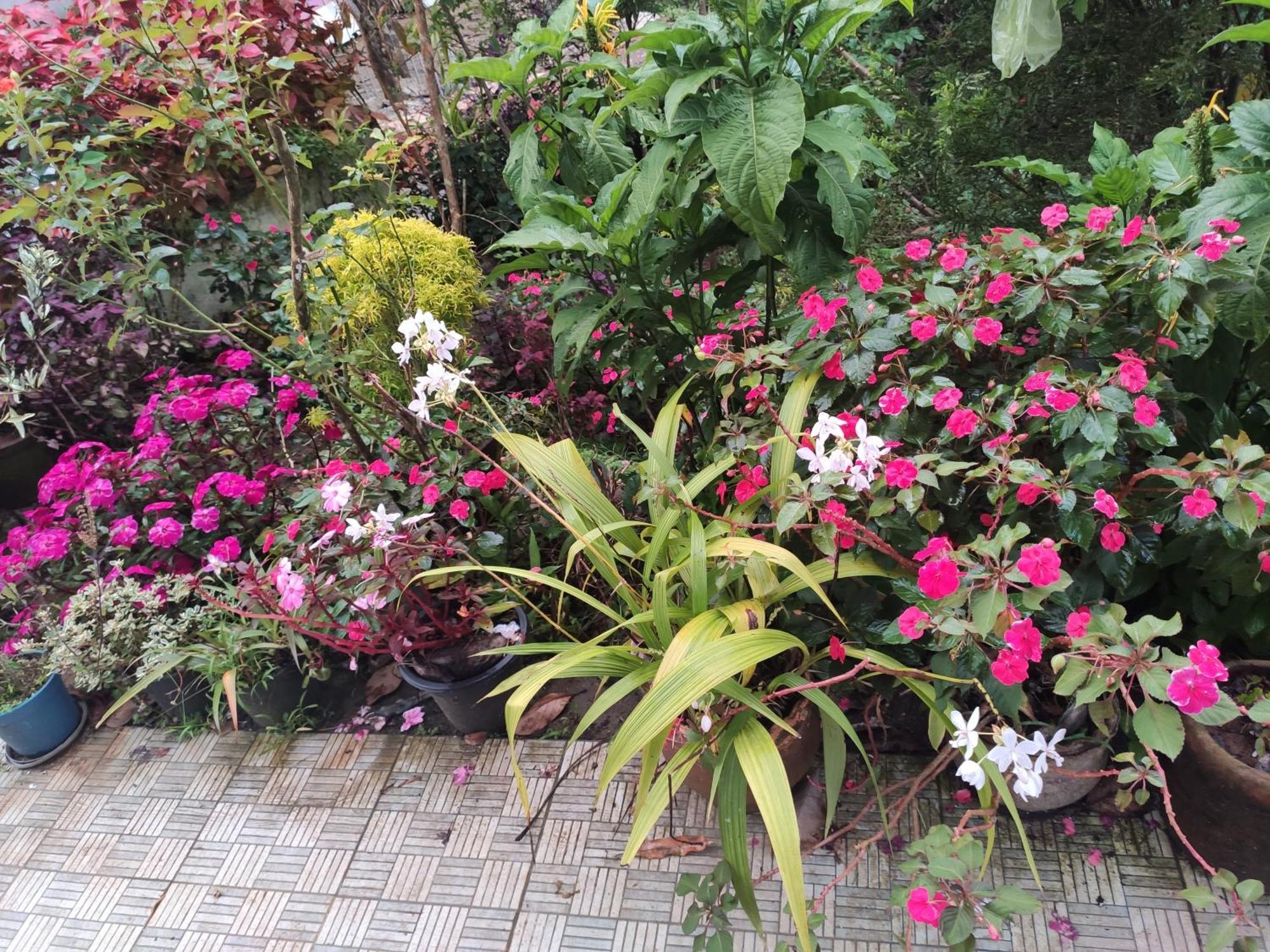 Soly'S Villa Homestay Munnar Esterno foto